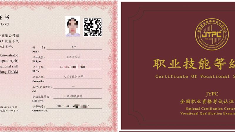 远程医疗AI平台定制：如何构建高效智能解决方案