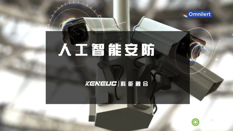 智能算法：揭秘其优缺点与实际应用案例